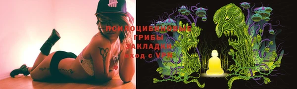 твердый Елабуга