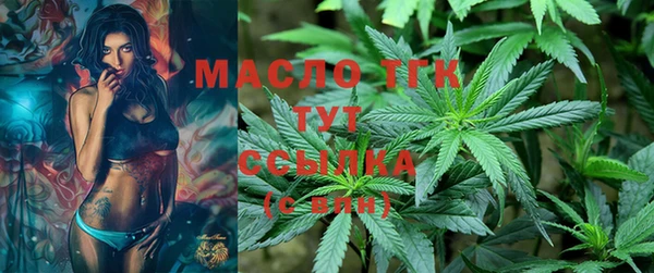 тгк Ельня