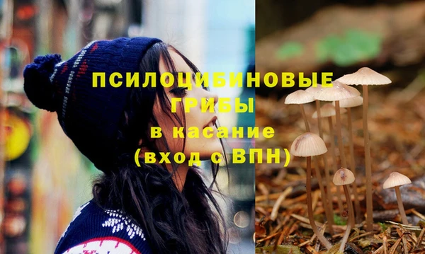 марки nbome Дмитриев