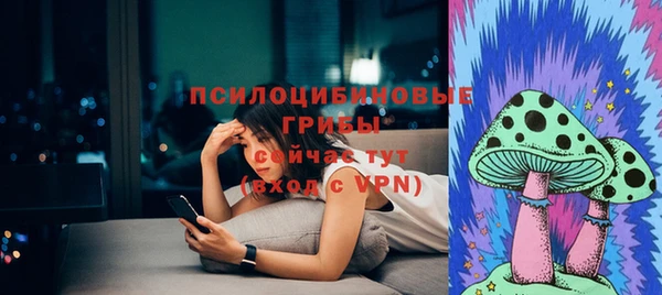сатива Елизово