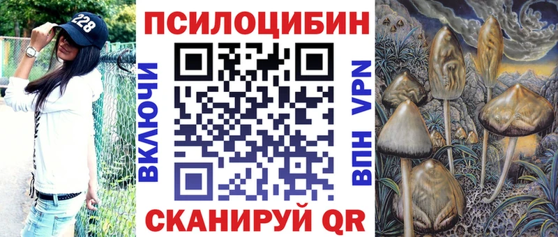 Псилоцибиновые грибы мухоморы  закладки  kraken как зайти  Железноводск 